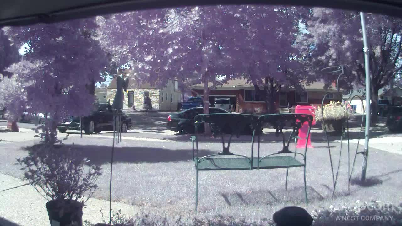 Stranger turning around in driveway, 9/5/2021, 12:30 pm