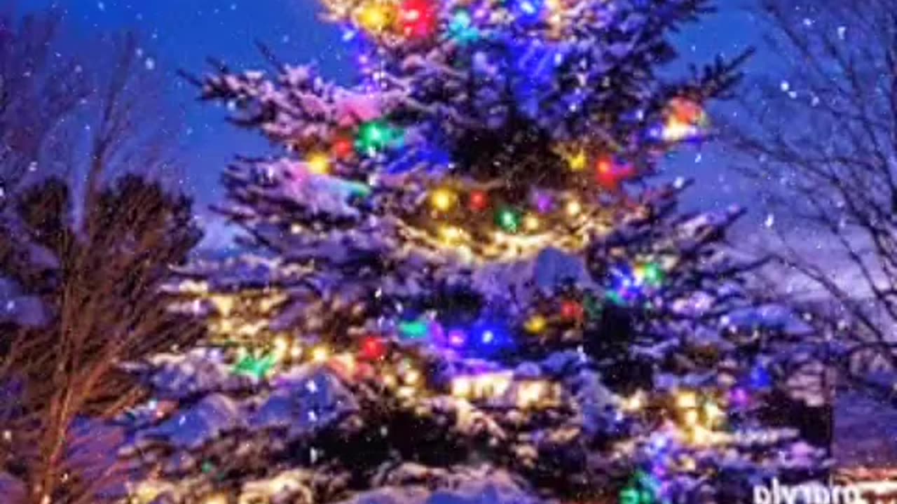 🔴"В лесу родилась ёлочка"...🎄