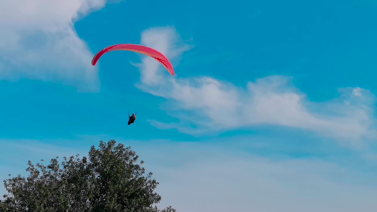 Relaxing Video
