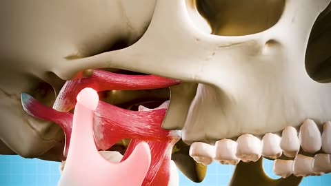 How To Fix A Dislocated Jaw 😨