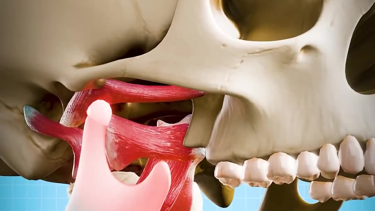 How To Fix A Dislocated Jaw 😨