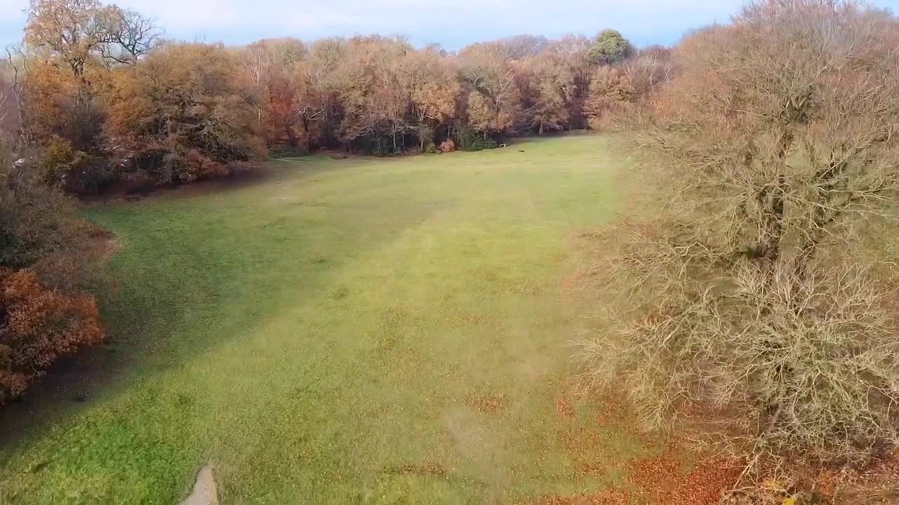 The National Trust - Box Hill Tadworth. Using Dji Mavic Mini 1080p 30fps (No post processing)