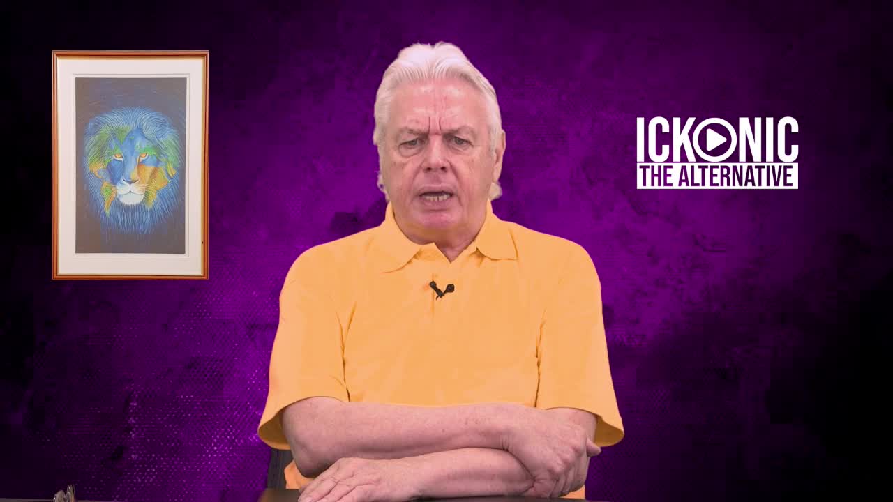 DAVID ICKE - WHY TAKE SIDES WHEN IT'S ALL THE SAME WEB.