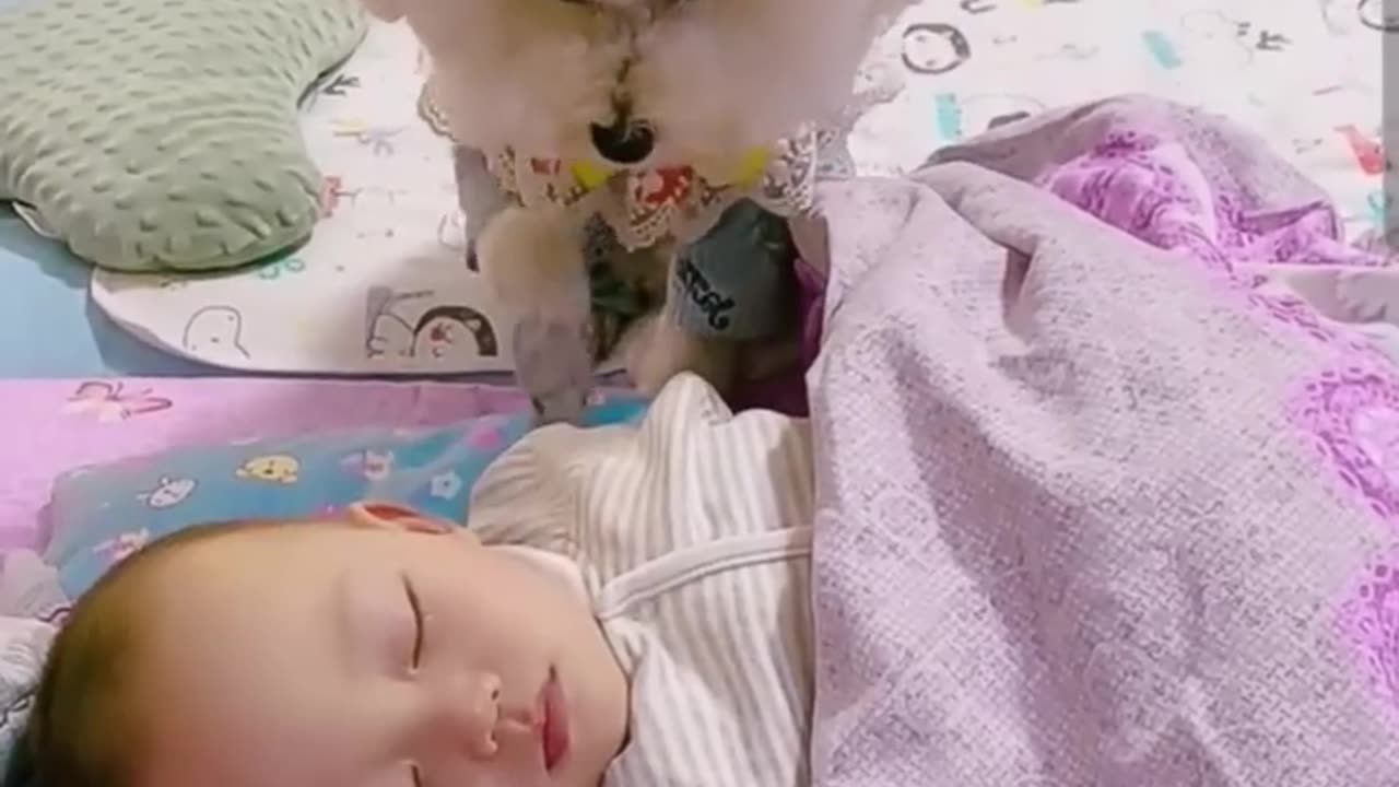 🐕🐕❤️❤️Most heartwarming & touching~ Cute Dog Takes Care Of Cute Baby😘😘