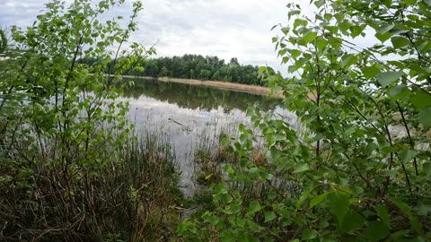 🐫 Walking To Bruce Pit Trails In Ottawa 🎄 Canada 🍁 Canoe Coming Soon 🛶