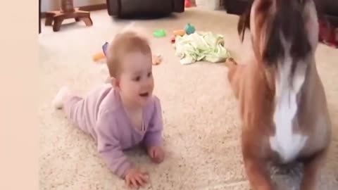 Silly toddler have a race with puppy till end