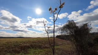 Wind storm time lapse 12/1/20