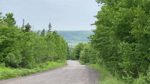 Looking At The Valley Below In Summer