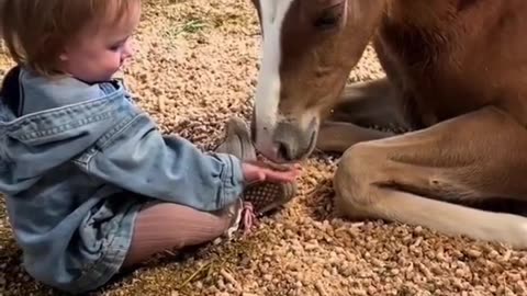 Tremendous bonding between child and horse #shorts #shortvideo #video #virals #videoviral