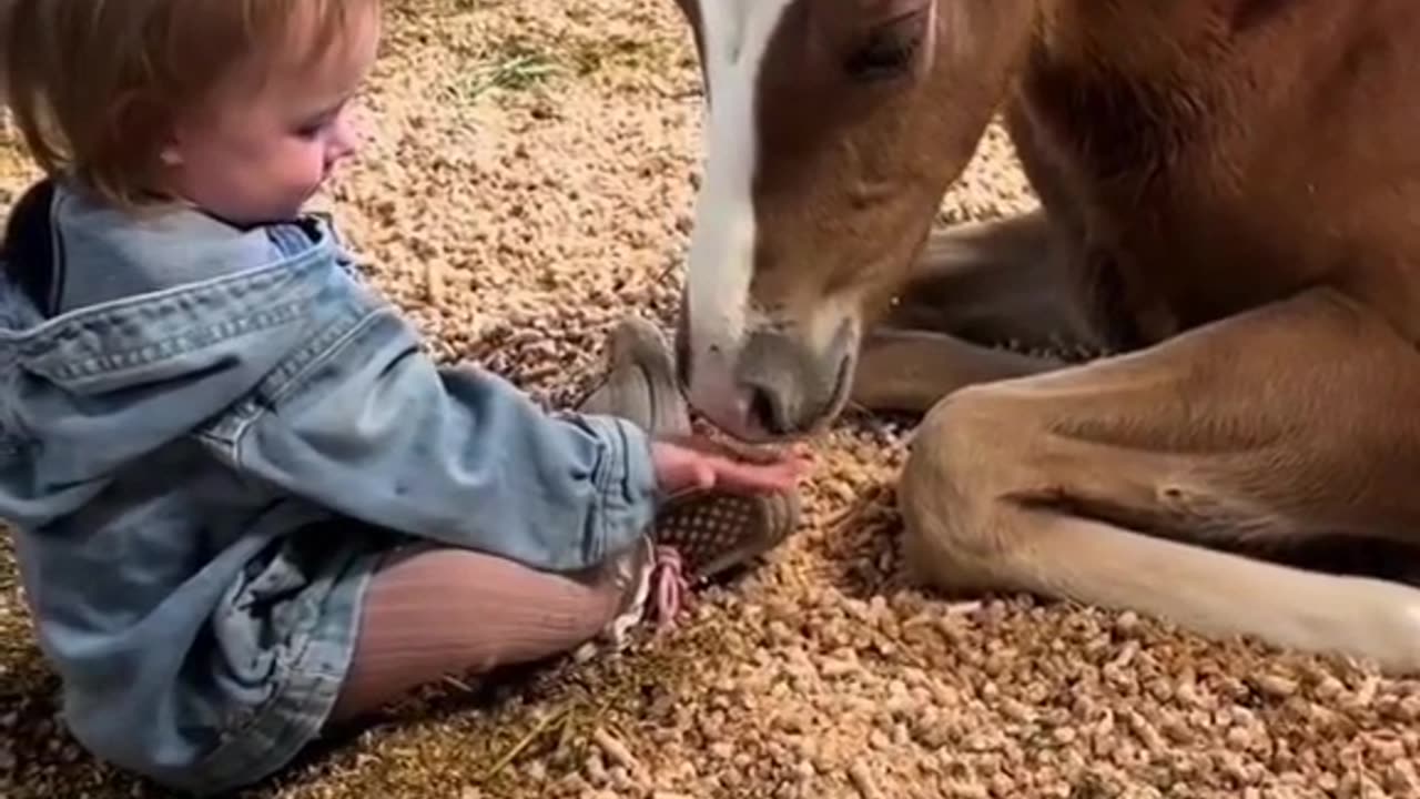 Tremendous bonding between child and horse #shorts #shortvideo #video #virals #videoviral