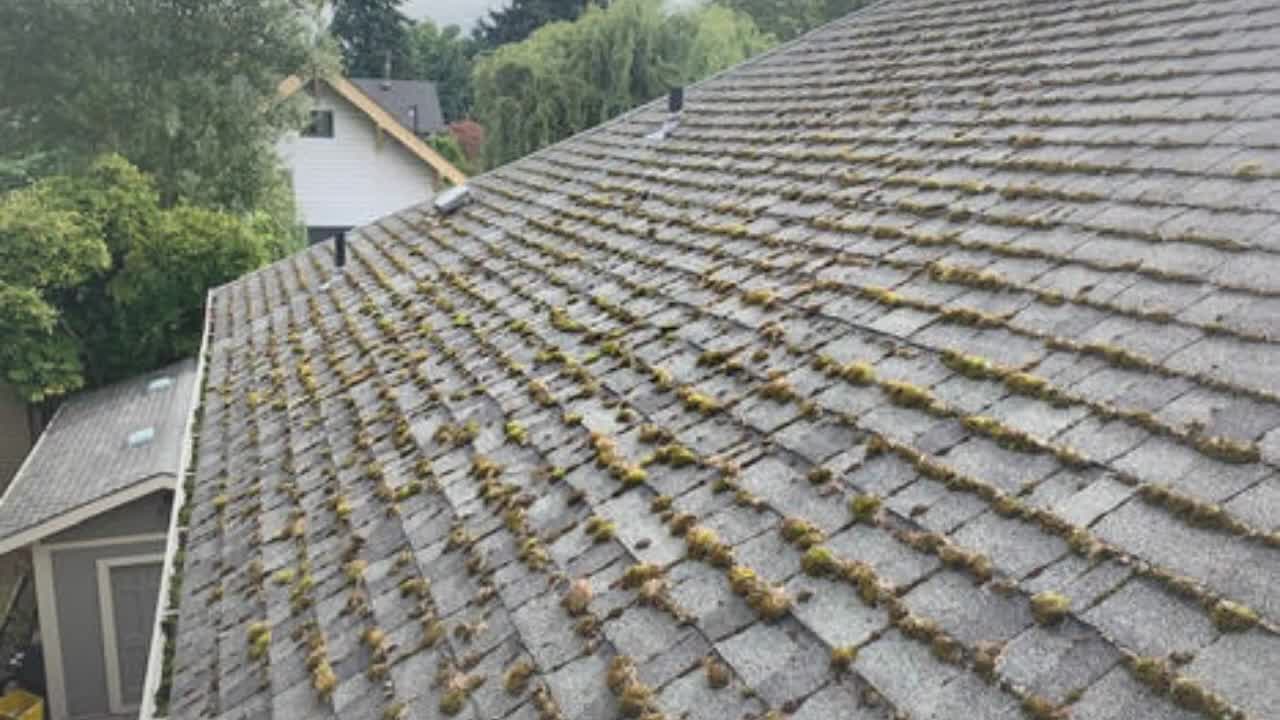 Roof Cleaning Vancouver WA