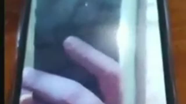 Pfizer admitting the vaccine NOT approved