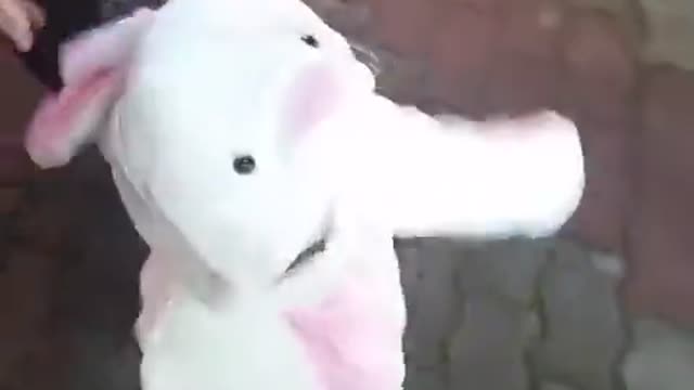 Toddler walks in adorable bunny costume