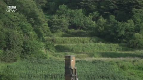 US and South Korea conduct military drills in response to North Korea's missile launch - BBC News