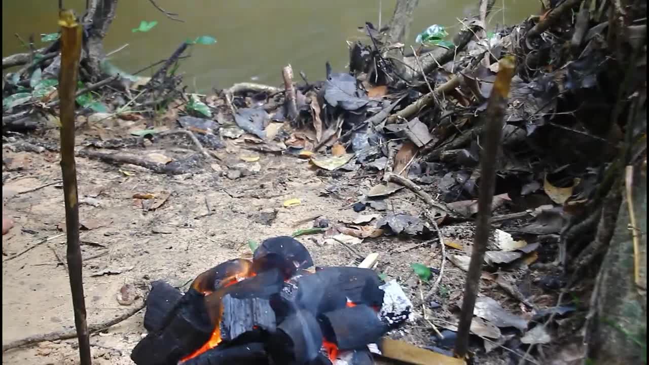 Cooking Chicken BBQ Recipe Eating So Yummy - Grilled Chicken Meat BBQ in Jungle