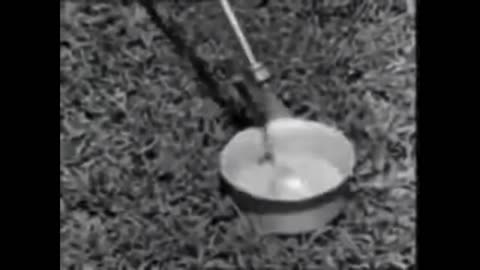 DDT Sprayed On Children To Prevent Polio