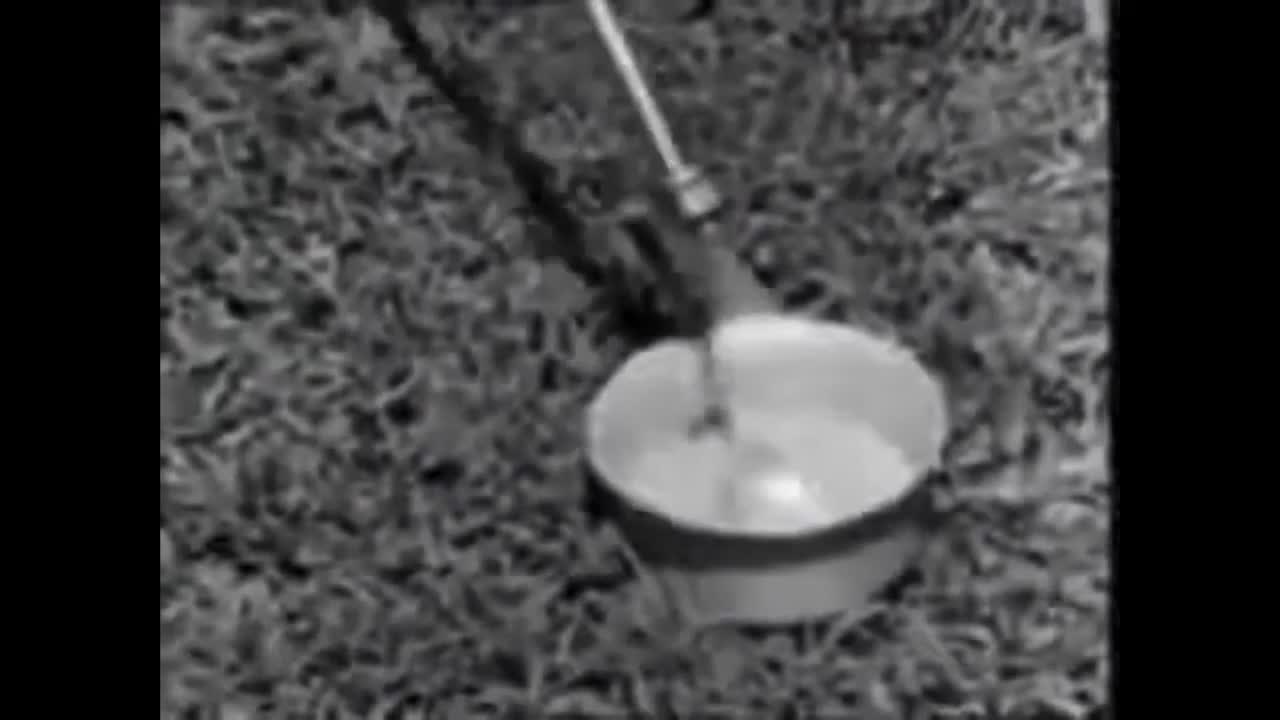 DDT Sprayed On Children To Prevent Polio