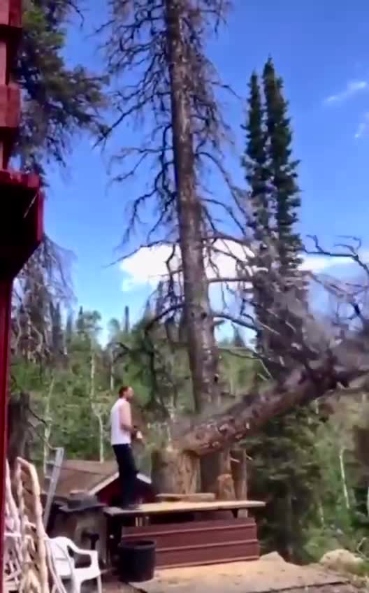 I pray he didn't break his neck or anything. Is it possible to get the rest of the story?