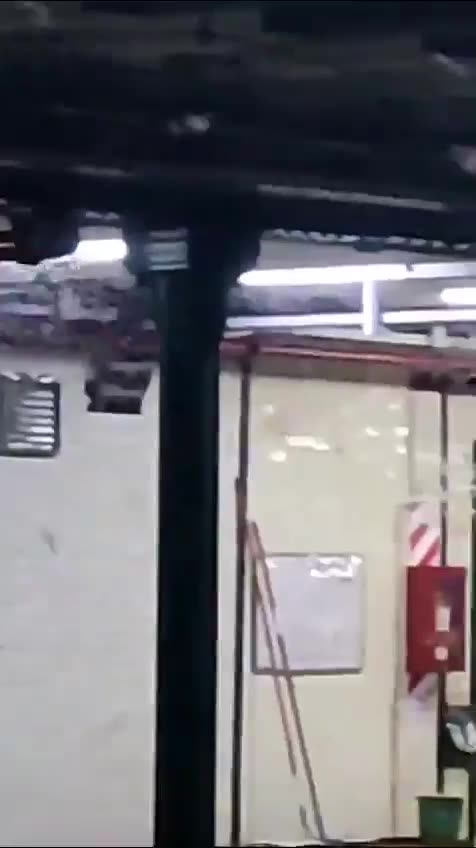 Argentina | Invasión de mosquitos en estaciones del metro de Buenos Aires.