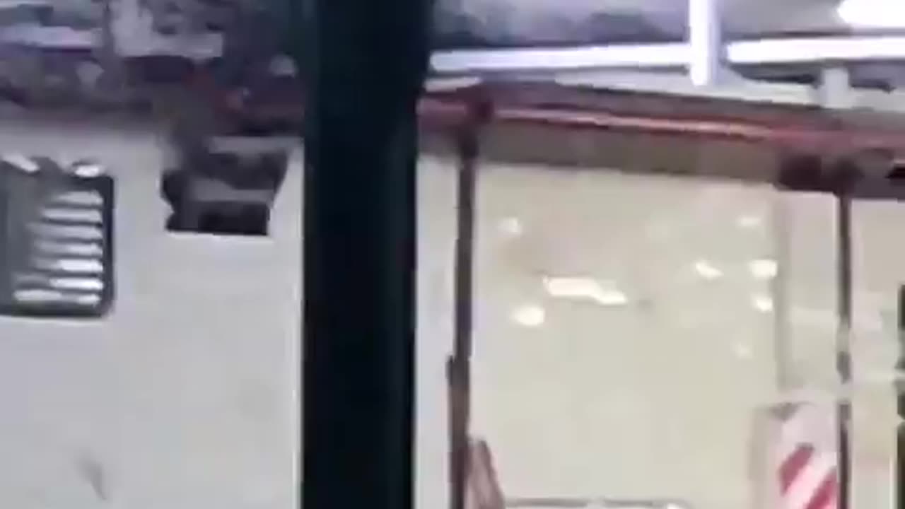 Argentina | Invasión de mosquitos en estaciones del metro de Buenos Aires.