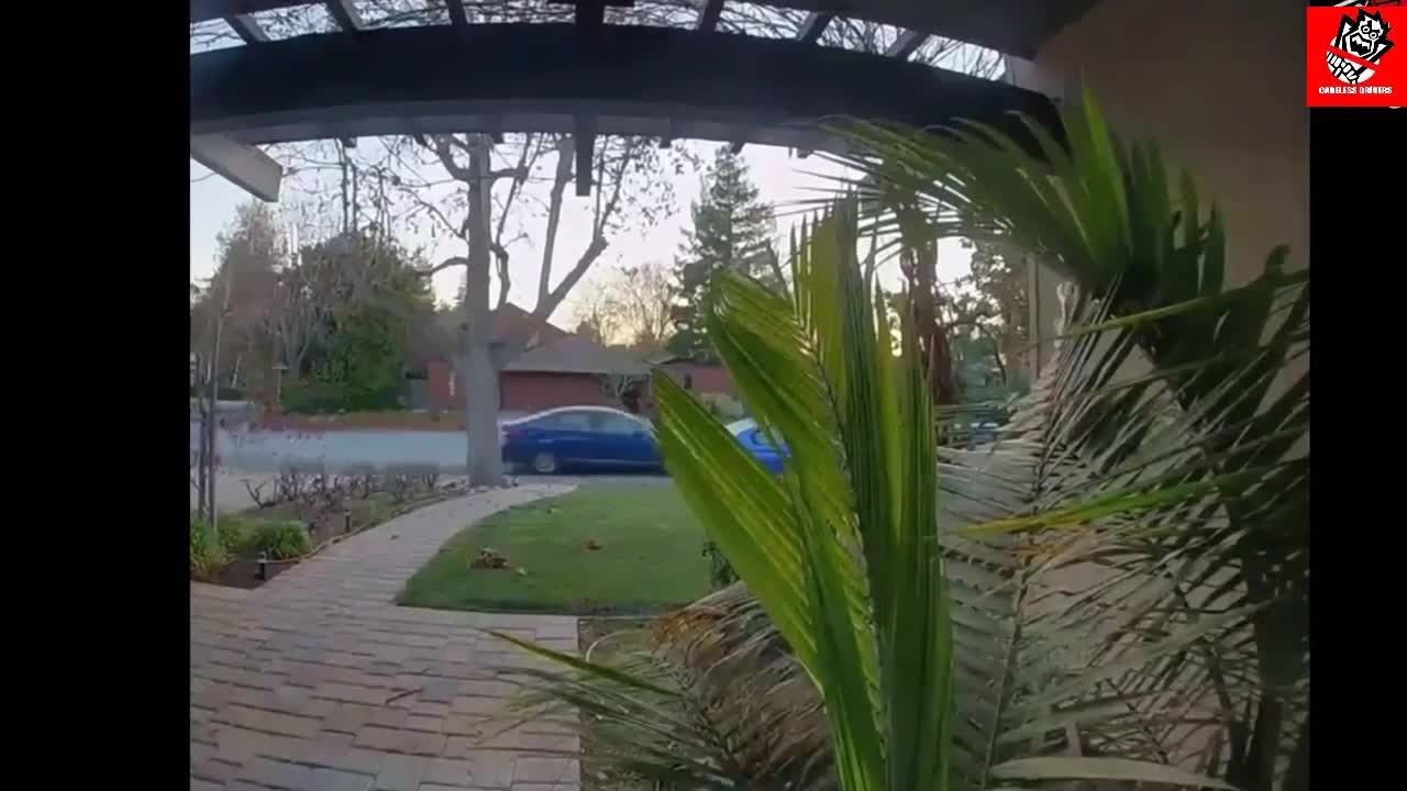 Worst drivers (idiots in cars)