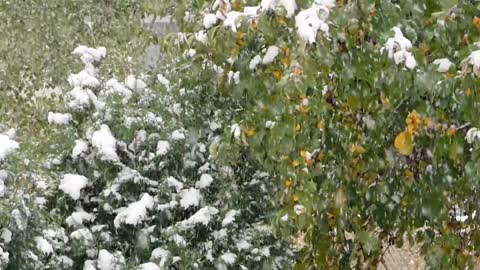Snow is falling fast