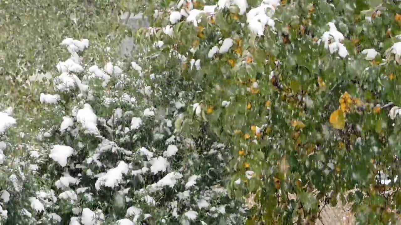Snow is falling fast