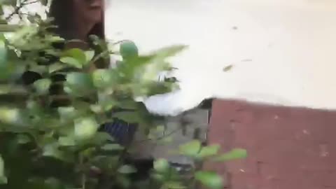 Girl in jacket pushes girl into bushes
