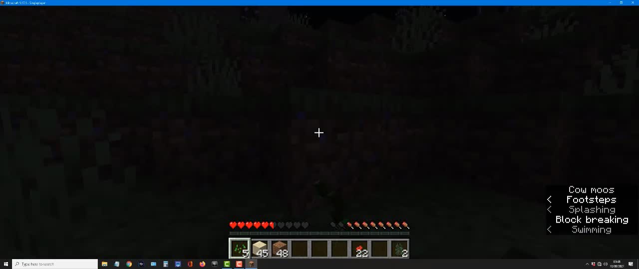 minecraft1.17.1hacks_minecrafthacks_minecrafttiktok_shorts_Short_21