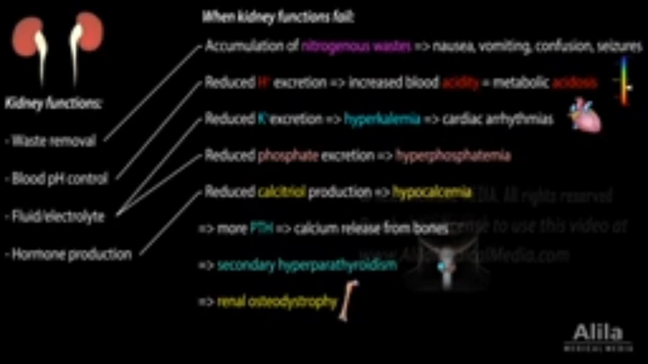 Chronic Kidney Disease, Animation