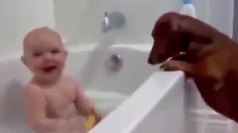 funny video baby part 1