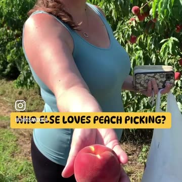 WHAT DO YOU MAKE WITH PEACHES?