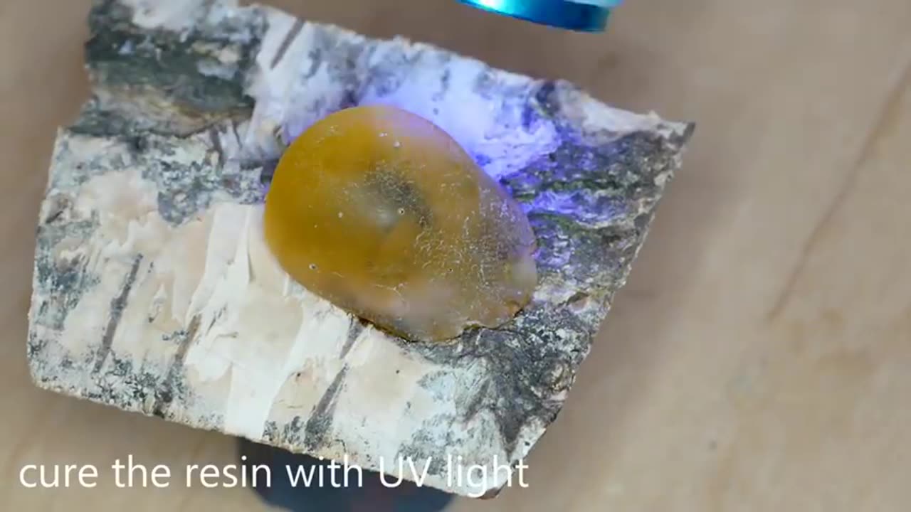 How to make a Fly in Amber. DIY RESIN ART