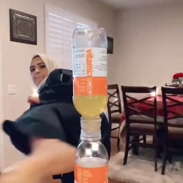 funny|prank|jokes|funny jokes|dad jokes|funny memes|funny video|fun|laughing|funny animal|knock