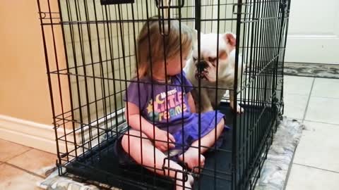 Babies and cute dogs are the best of friends. Video of Dogs Babysitting Babies