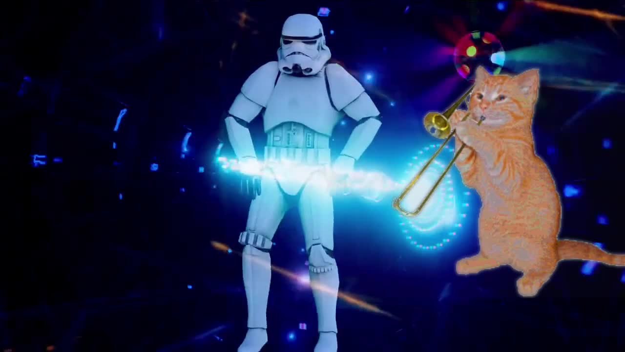 Imperial Stormtroopers and funny cat/ WHAT?!?!?!?!