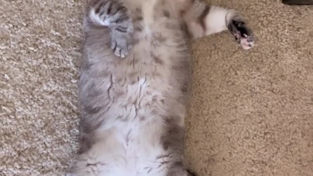 She is adorable!! 😂😂😂❤️