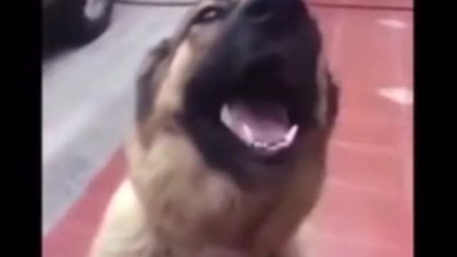 random video 4