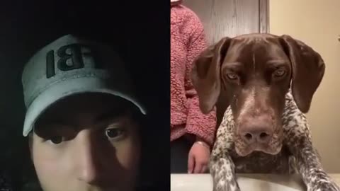 The dog defends its owner, but to no avail