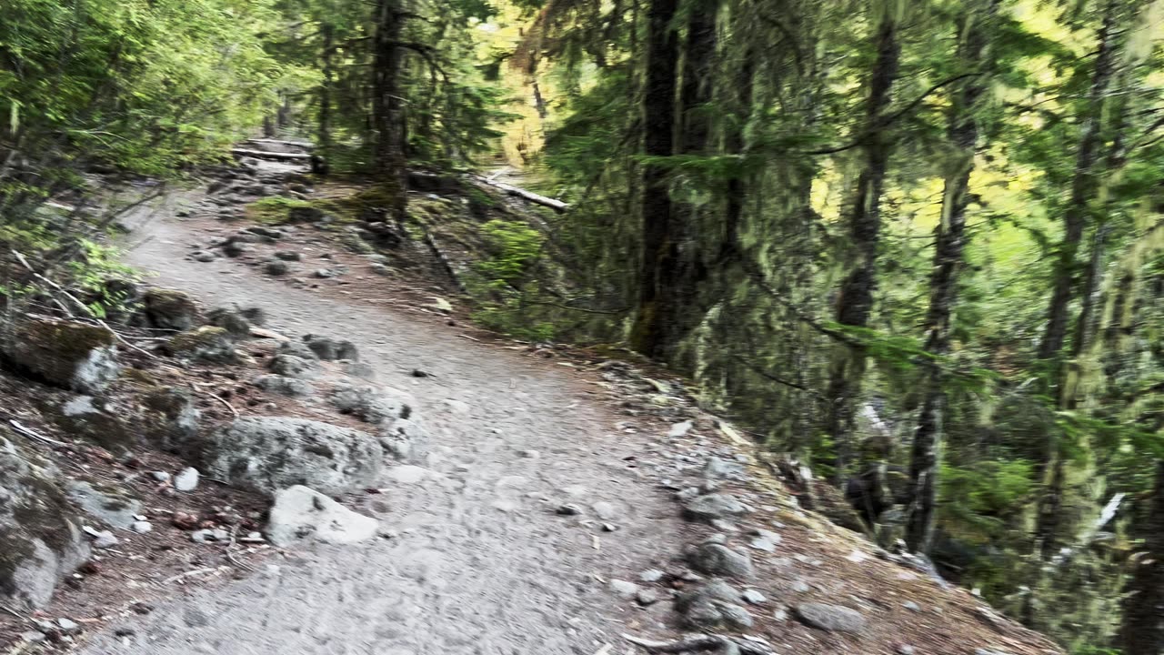 Avoiding the Hiking Route Design of Going Loopy for Loops! | Ramona Falls | Mount Hood | 4K | Oregon