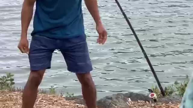 Technic on how to catch fish