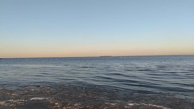 View of the Seagull colony from the sea