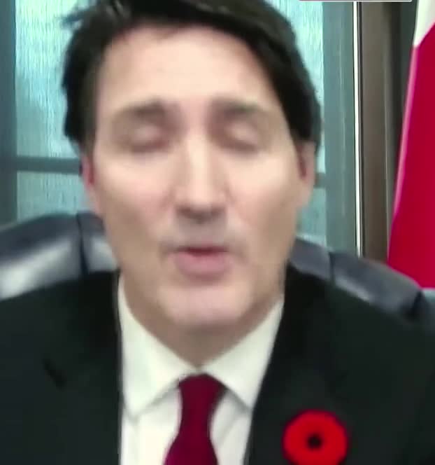 Trudeau says he will get rid of vaccine misinformation and hate speech from the internet