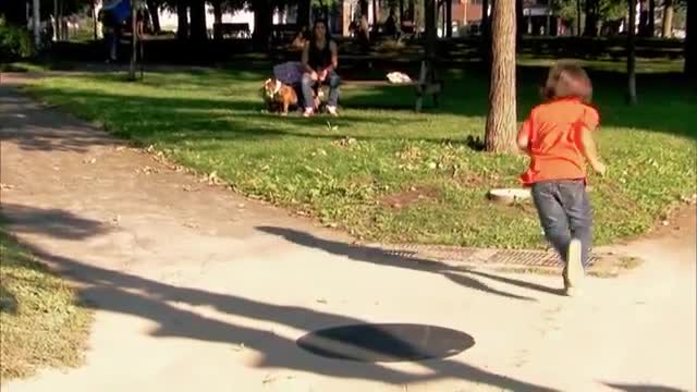 just for laugh entertainment video