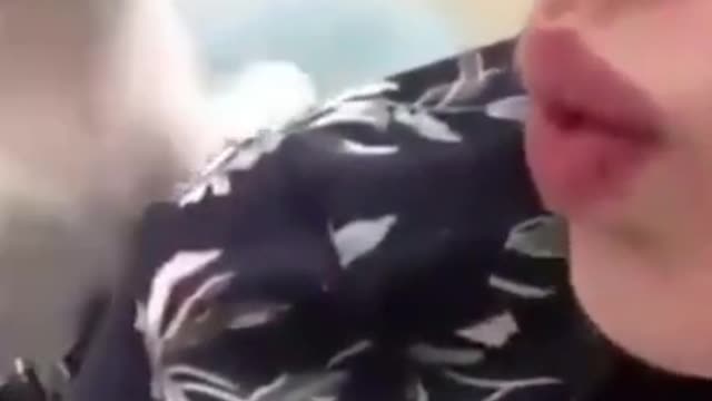 Cat Slap