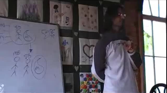 How Many Laws of the Universe Are There? What’s the Law of Divine Love?