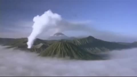 I've Exposing the Elite since 2011 after High School