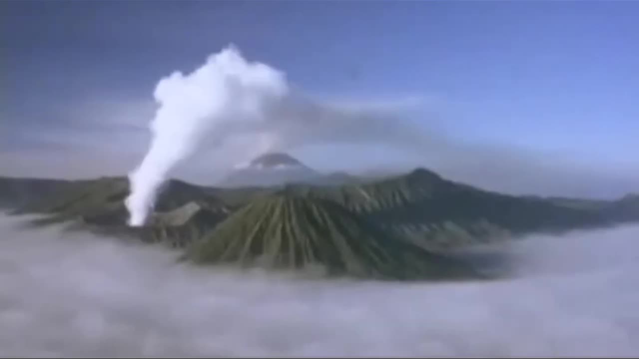 I've Exposing the Elite since 2011 after High School