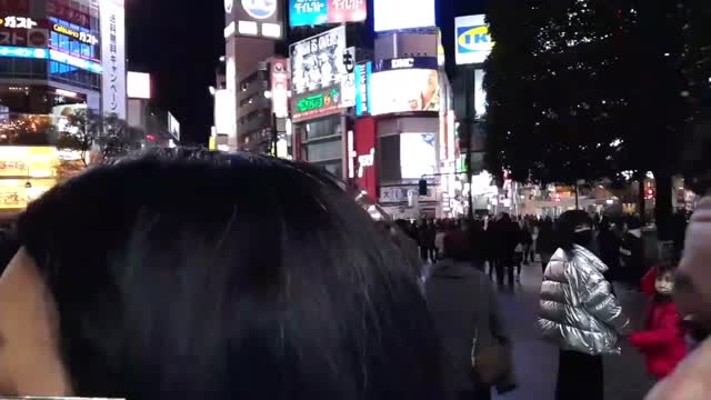 HACHIKO E RESTAURANTE DE QUEIJO DECEPCIONANTE EM SHIBUYA Toquio Japao