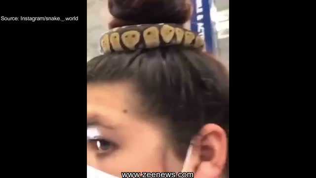 Snake Hairband